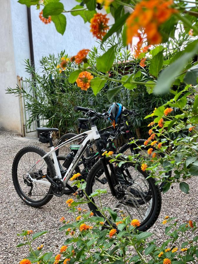 Apartamento La Casa Di Anna Domegliara